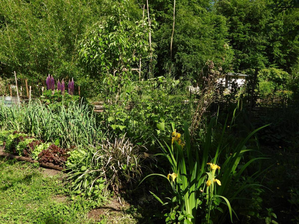 Le Jardin De Saint Jean Bed and Breakfast Eksteriør billede