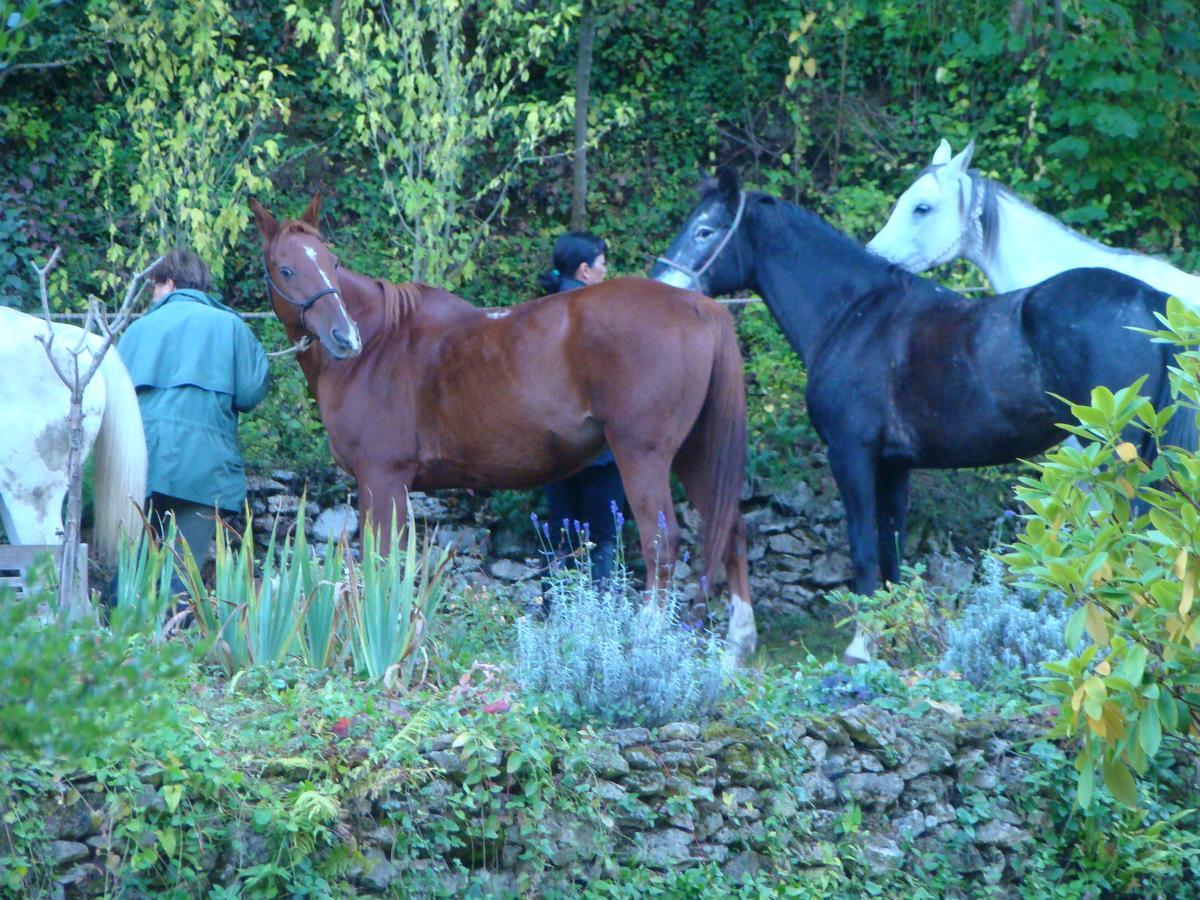 Le Jardin De Saint Jean Bed and Breakfast Eksteriør billede