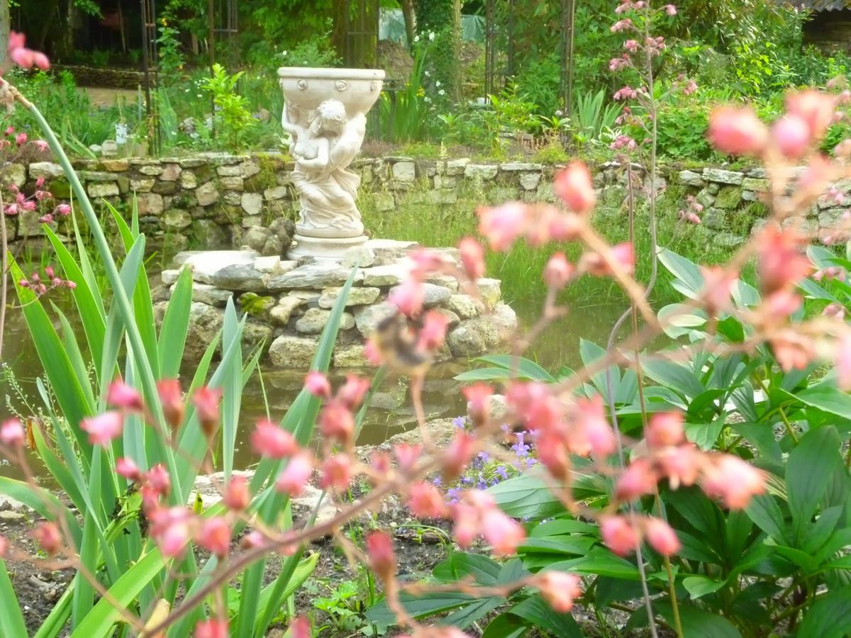 Le Jardin De Saint Jean Bed and Breakfast Eksteriør billede