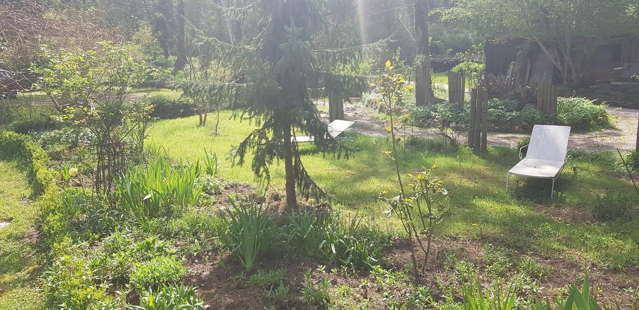 Le Jardin De Saint Jean Bed and Breakfast Eksteriør billede